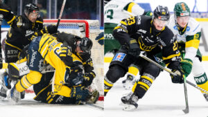 Klart: Så spelas Hockeyallsvenskan 2024/25