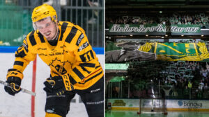 Max Lindholm blev hjälte för Skellefteå: “De har inte riktigt koll på mig”