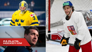 Så ska Tre Kronor få stopp på David Pastrnak: “En av de bästa målskyttarna i världen”