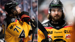 Adam Brodecki om framtiden: “Har pratat med lag i SHL och Hockeyallsvenskan”