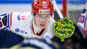 Björklöven värvar från SHL – Erik Andersson skriver på