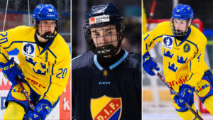 Så rankas svenskarna i expertens sista ranking inför NHL-draften