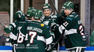 Tingsryds AIF spelar i Hockeyallsvenskan 2024/25