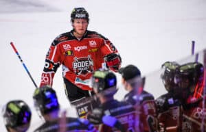 Skellefteås drag: Lånar från Hockeyettan