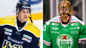 Matt Donovan och Justin Pogge får tränarjobb i AHL