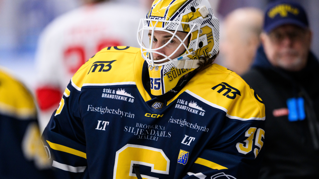 Tomas Sholl återvänder till USA – klar för ECHL-spel