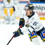 MJÖRNBERG: Nu är det en match från drömfinalen