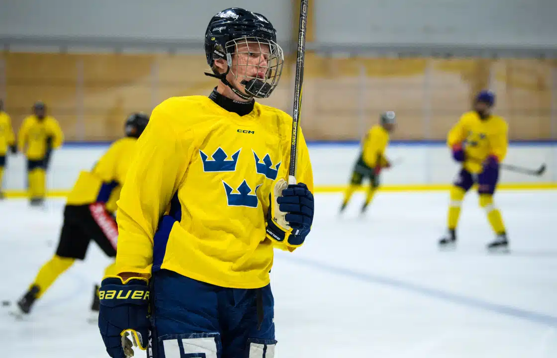 17-åringen kan få göra SHL-debut