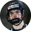 Arvid Drott