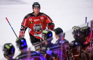 Hockeyettan-spelaren får kontrakt – i toppliga