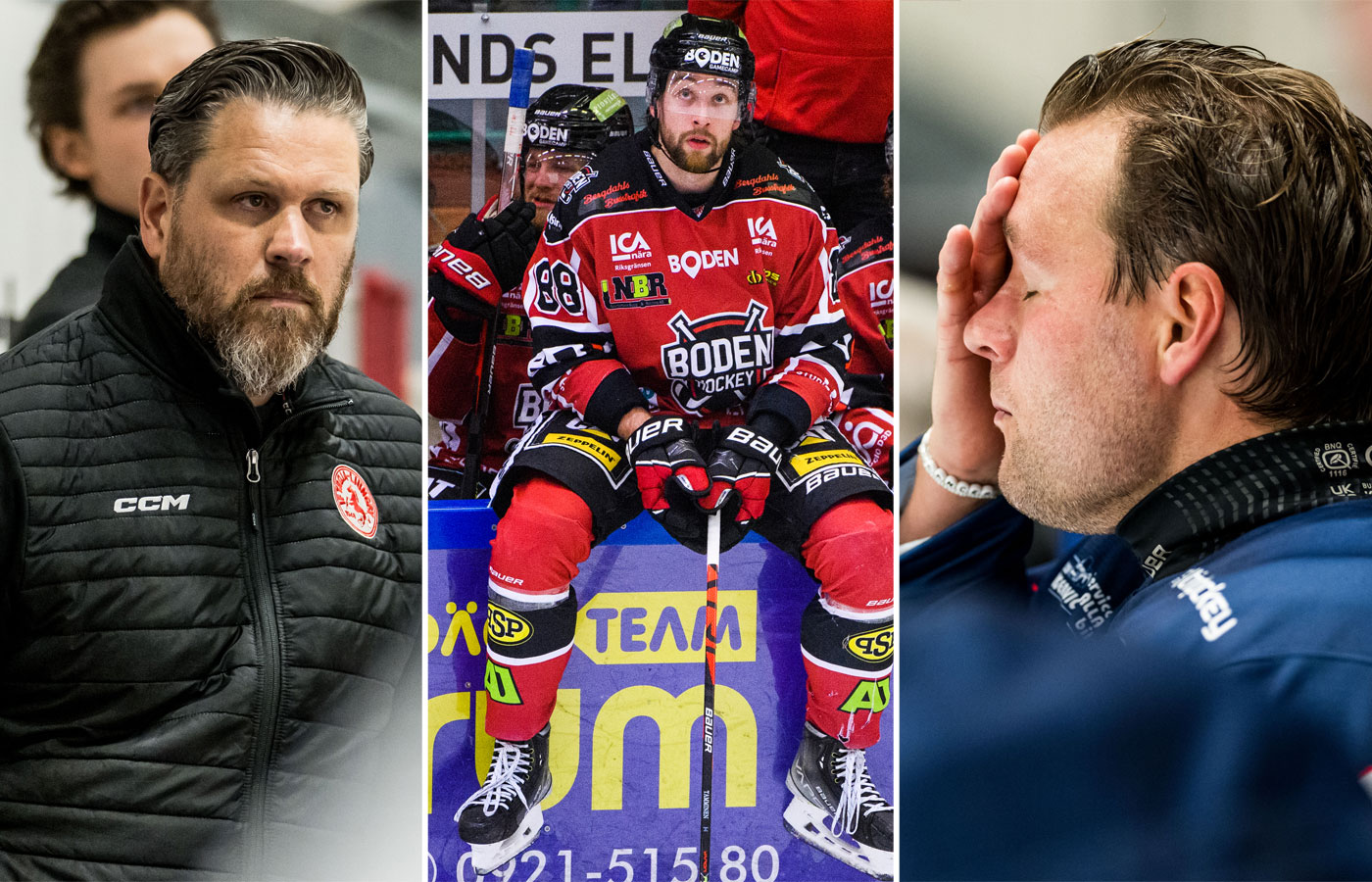 Jens Gustafssons Troja-Ljungby, Henri Tamminens Boden och Robin Dahses Halmstad tillhör det riktiga topplagen i Hockeyettan just nu. Foto: Bildbyrån