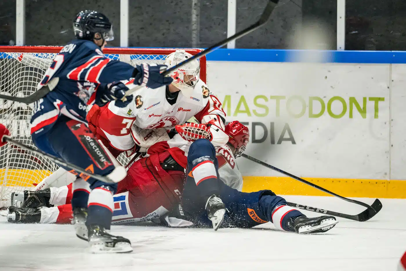 Troja-Ljungby och Halmstad bjöd upp till en riktigt bra hockeymatch. Foto: Niclas Jönsson/Bildbyrån