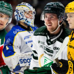 Breddspelare i SHL – skulle vara stjärnor i HockeyAllsvenskan