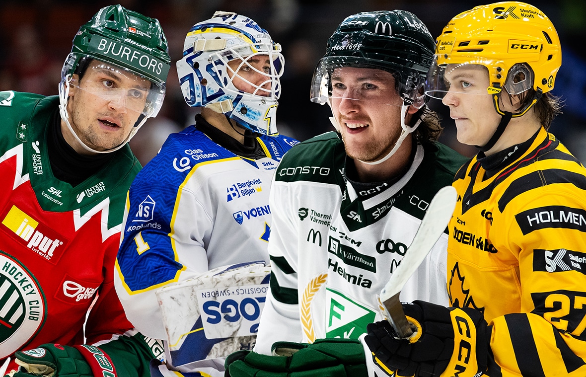 Breddspelare i SHL – skulle vara stjärnor i HockeyAllsvenskan