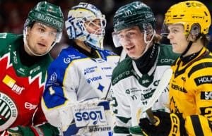 Breddspelare i SHL – skulle vara stjärnor i HockeyAllsvenskan