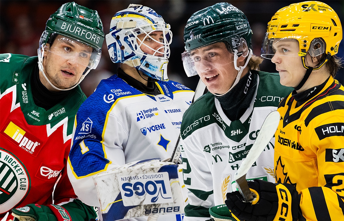 Breddspelare i SHL som skulle vara stjärnor i HockeyAllsvenskan.