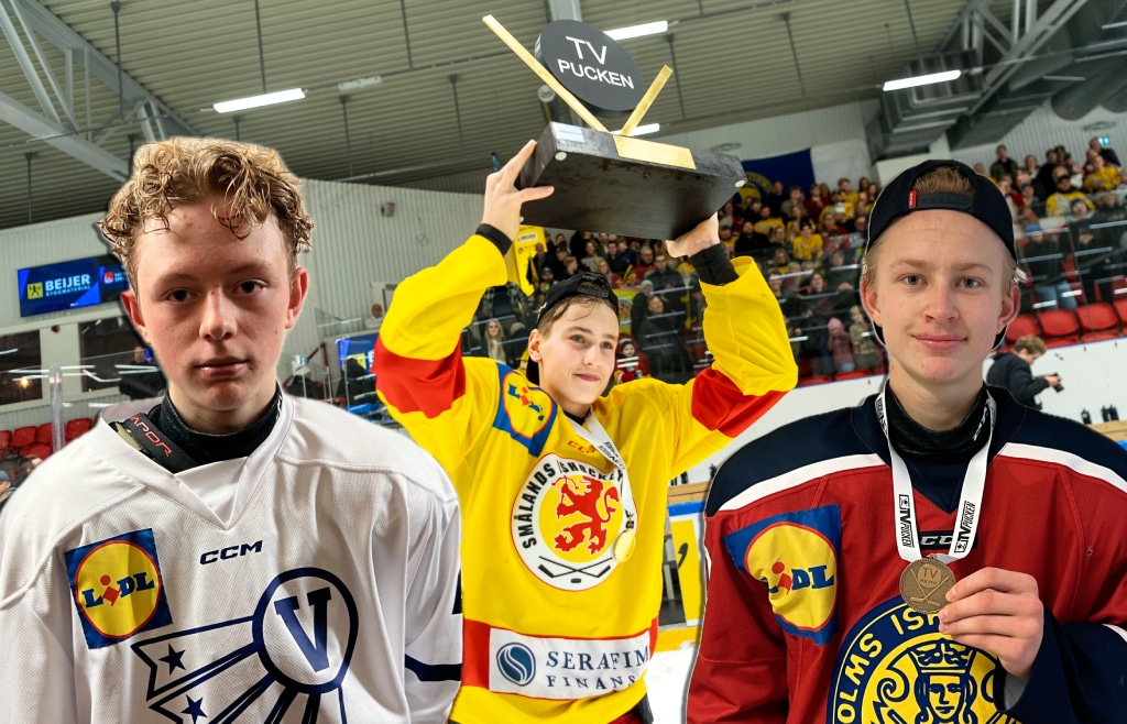 Här är spelarna som är uttagna till U16-landslagets elitcamp