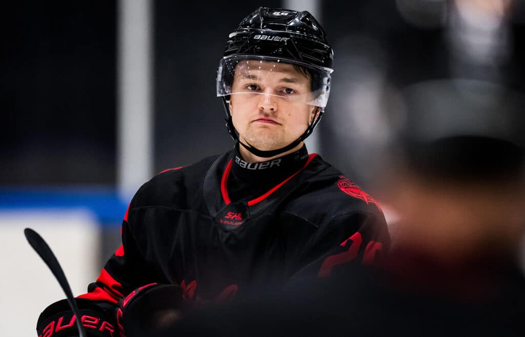 Teemu Kivihalme, Malmö Redhawks.