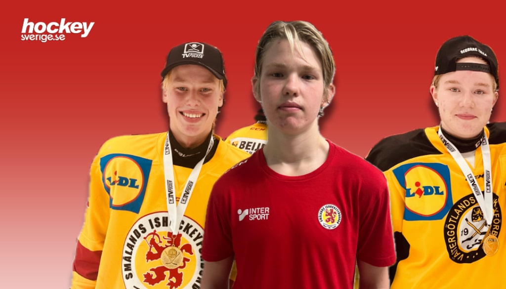 Tre profiler från finalerna av TV-pucken