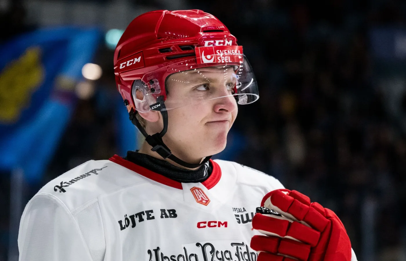 Talangen kallas hem – får ny SHL-chans