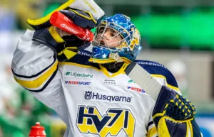 Mora lånar från HockeyEttan: “Spännande målvakt”