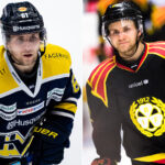 Förre SHL-forwarden får ny chans