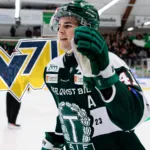 HV71 lånar ännu en allsvensk spelare