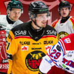 LAG FÖR LAG: SHL-spelarna som kan flytta till NHL