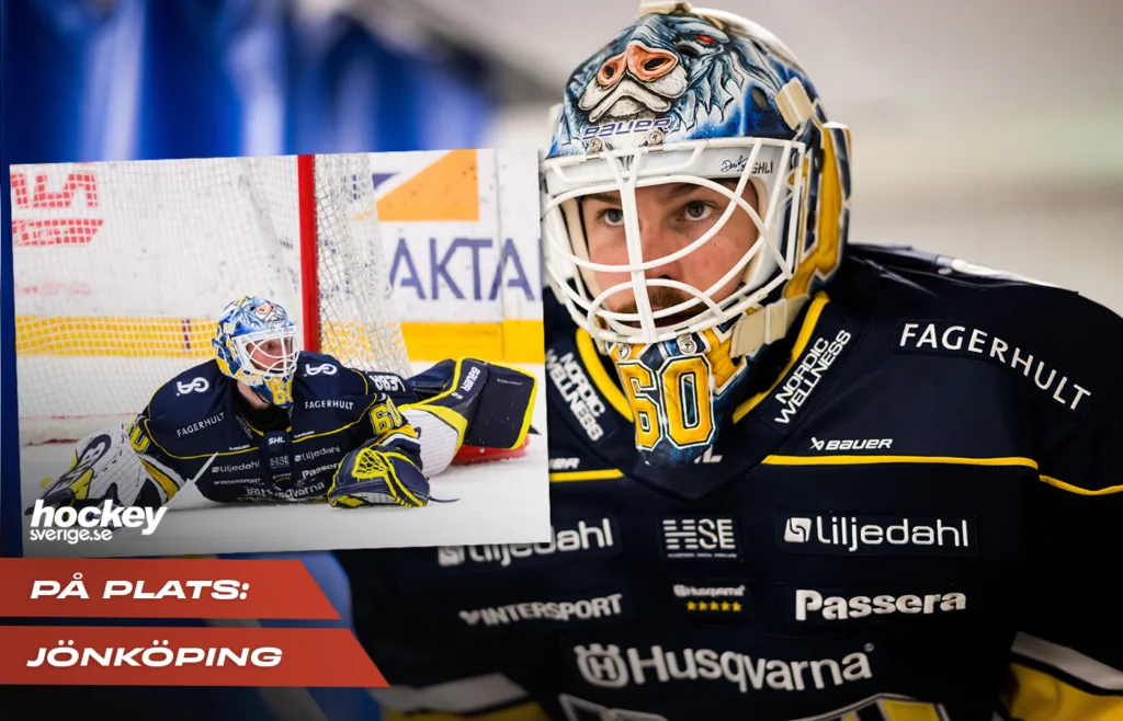 Hugo Alnefelt, HV71.