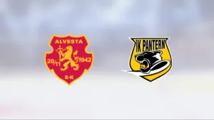 Alvesta besegrade Pantern med 3–1