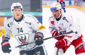 SHL-laget visar stort intresse för toppbackarna