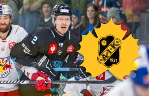Uppgifter: Skellefteå vill ha succésvensken