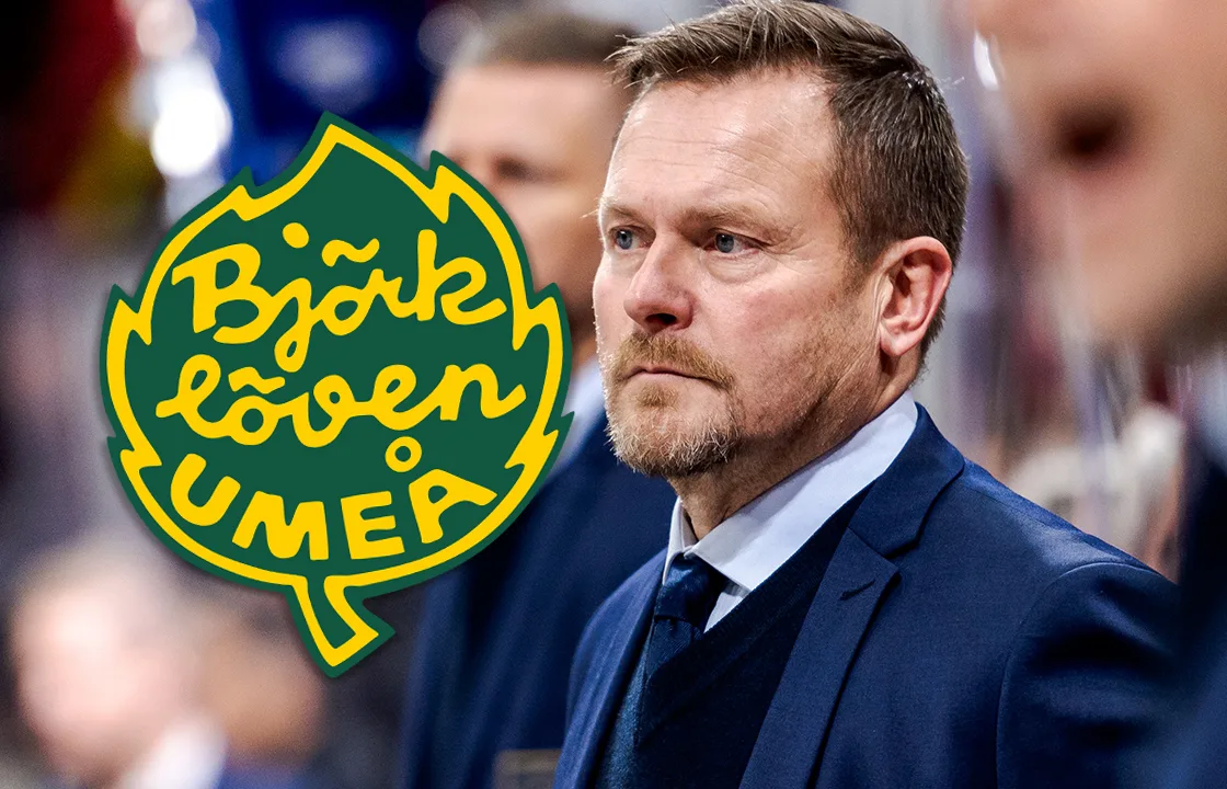 Tränarprofilens svar om Björklöven