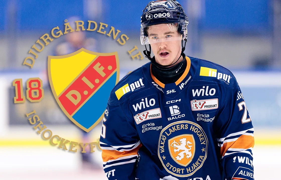 Uppgifter: Djurgården lånar SHL-forward