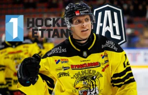 HockeyEttans slutspel – så funkar det