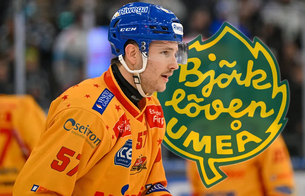 Matt Cairns, Björklöven.