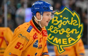 Björklöven agerar – värvar back