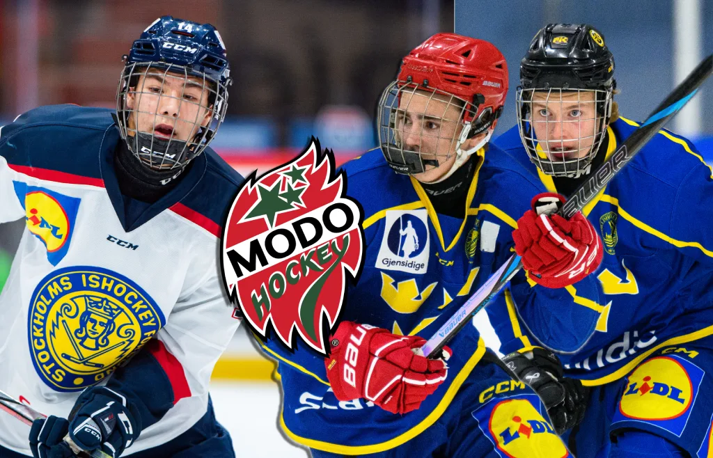 MoDo J18 – kommentarer om ALLA spelare