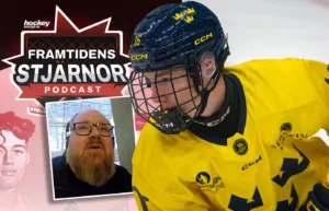 Experten: ”Bästa spelaren i Sverige”