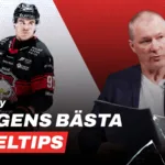 Speltips 27/2 inför Malmö Redhawks – Modo Hockey