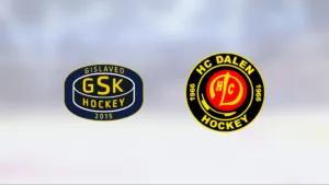 12–8-seger för Dalen mot Gisla/Nittorp