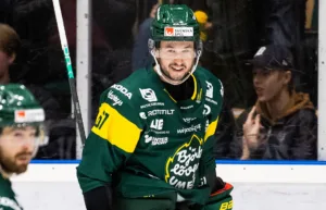 Tidigare Löven-forwarden avslutar karriären
