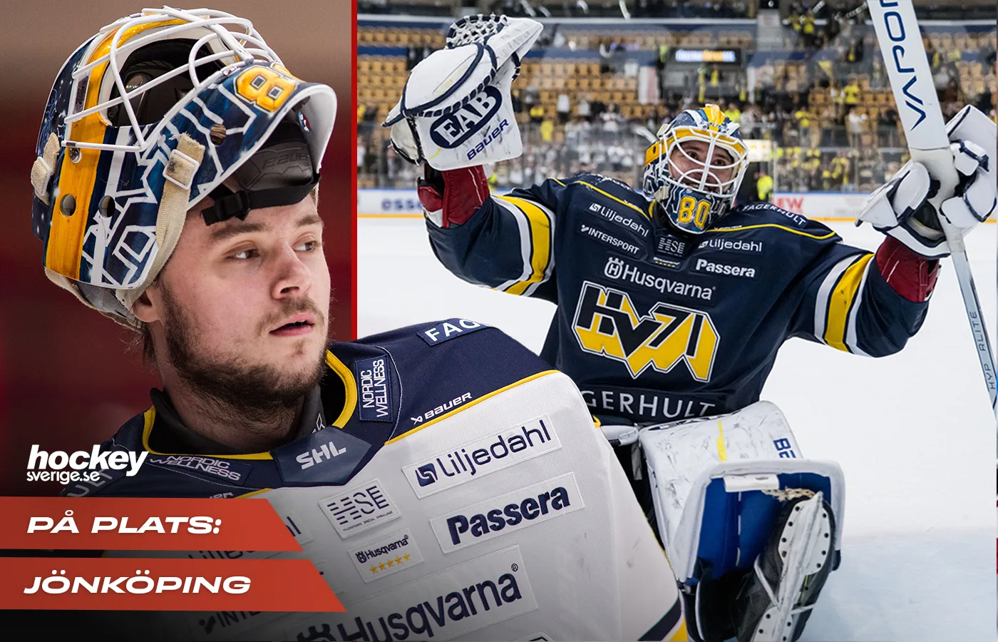 Frederik Dichow, HV71.