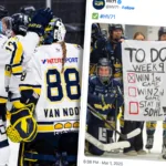 Glädjen i HV71 – klara för SDHL 2025/26