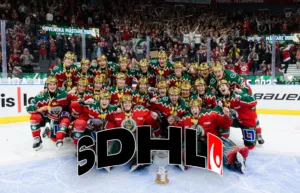 ”Går nu på allvar säga att SDHL berör”