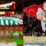 SHL:s succé – högsta publiksnittet någonsin