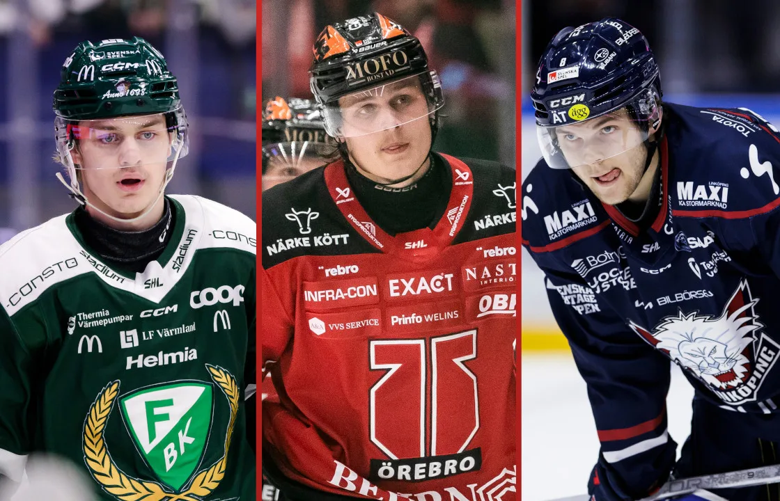 SHL-svenskarna som kan släppas av NHL-klubbarna