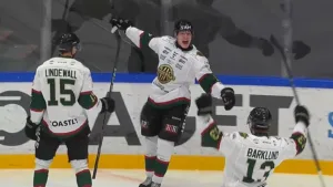 MJÖRNBERG: Ett fantastiskt hockeylag – men bara när de vill
