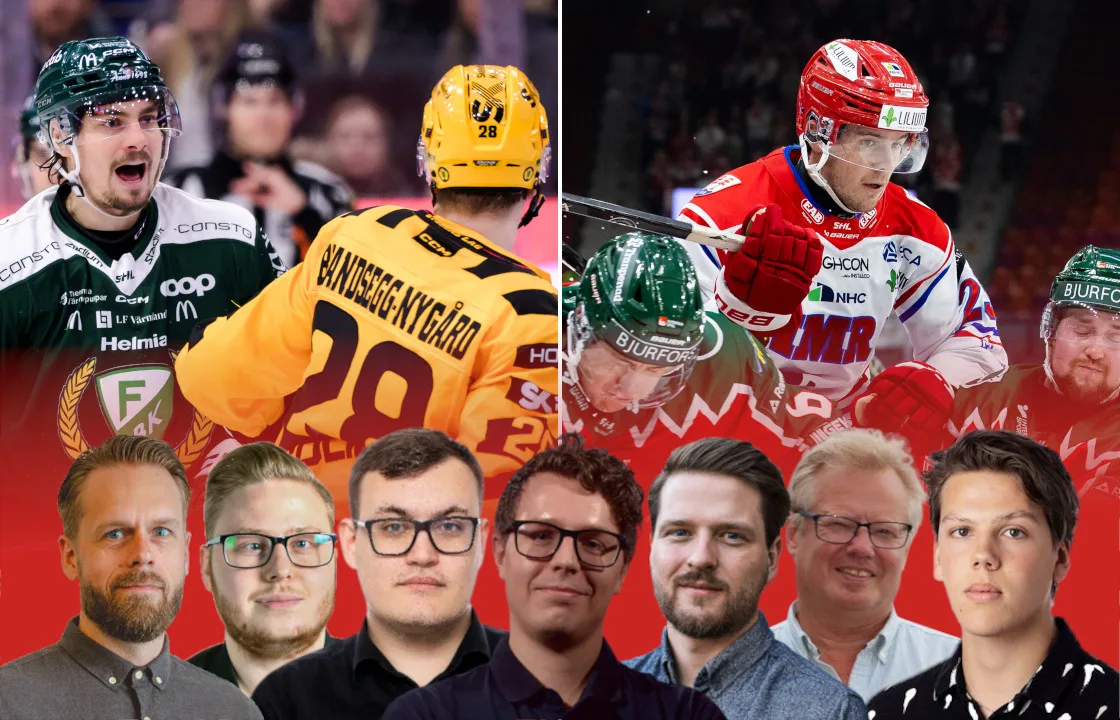 Panelen: ”Saknar motstycke i SHL”