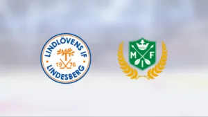 Seger för Lindlöven J18 mot Malung